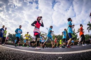 2019奔跑中國馬拉松賽歷發(fā)布 13項(xiàng)精選賽事引領(lǐng)全民健身熱潮