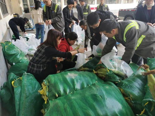 新聞集裝箱 知曉三期事 第45-48周賽事活動綜述